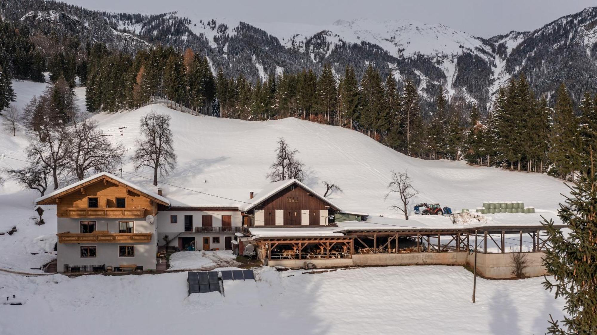 Bio-bergbauernhof Weger * Dellach (Hermagor)