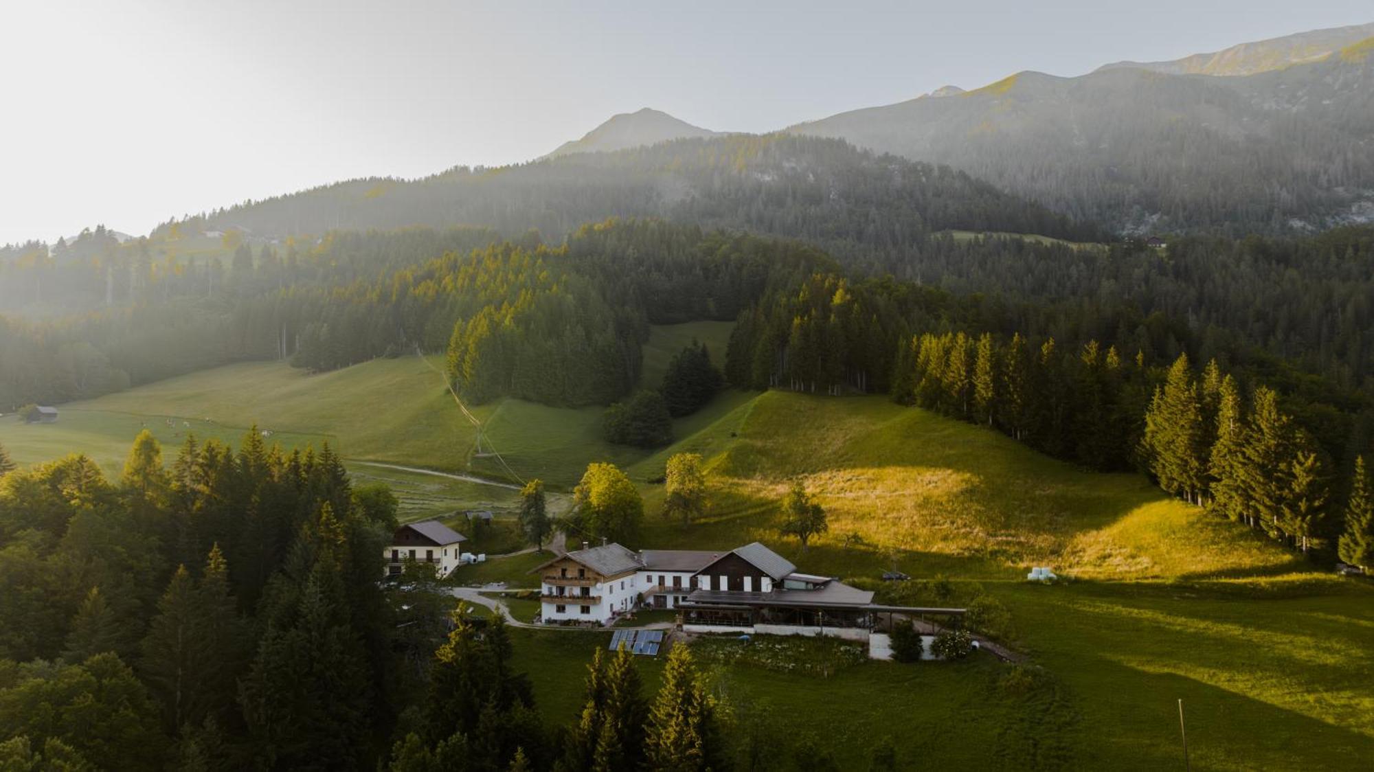 Bio-bergbauernhof Weger *