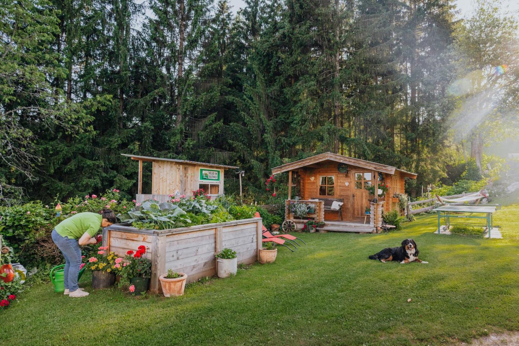 Appartement Bio-bergbauernhof Weger *